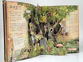 Amazon.co.jp: フラワ-・フェアリ-ズ(花の妖精たち)のお話 (とびだし