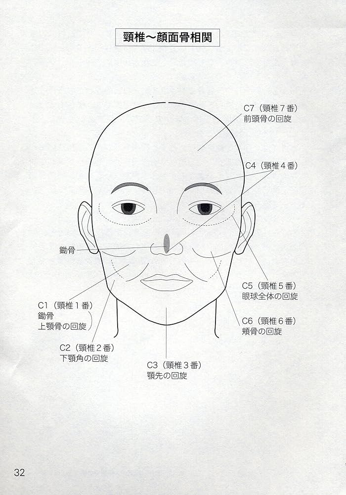 驚異の「顔面骨」テクニック ―癒道整体のすべて | 井村 和男 |本