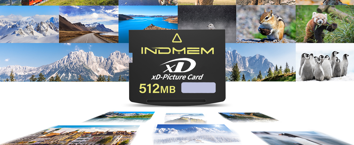 Amazon.com: xD-Picture Card 512MB,512MB Xd Cards Compatible with