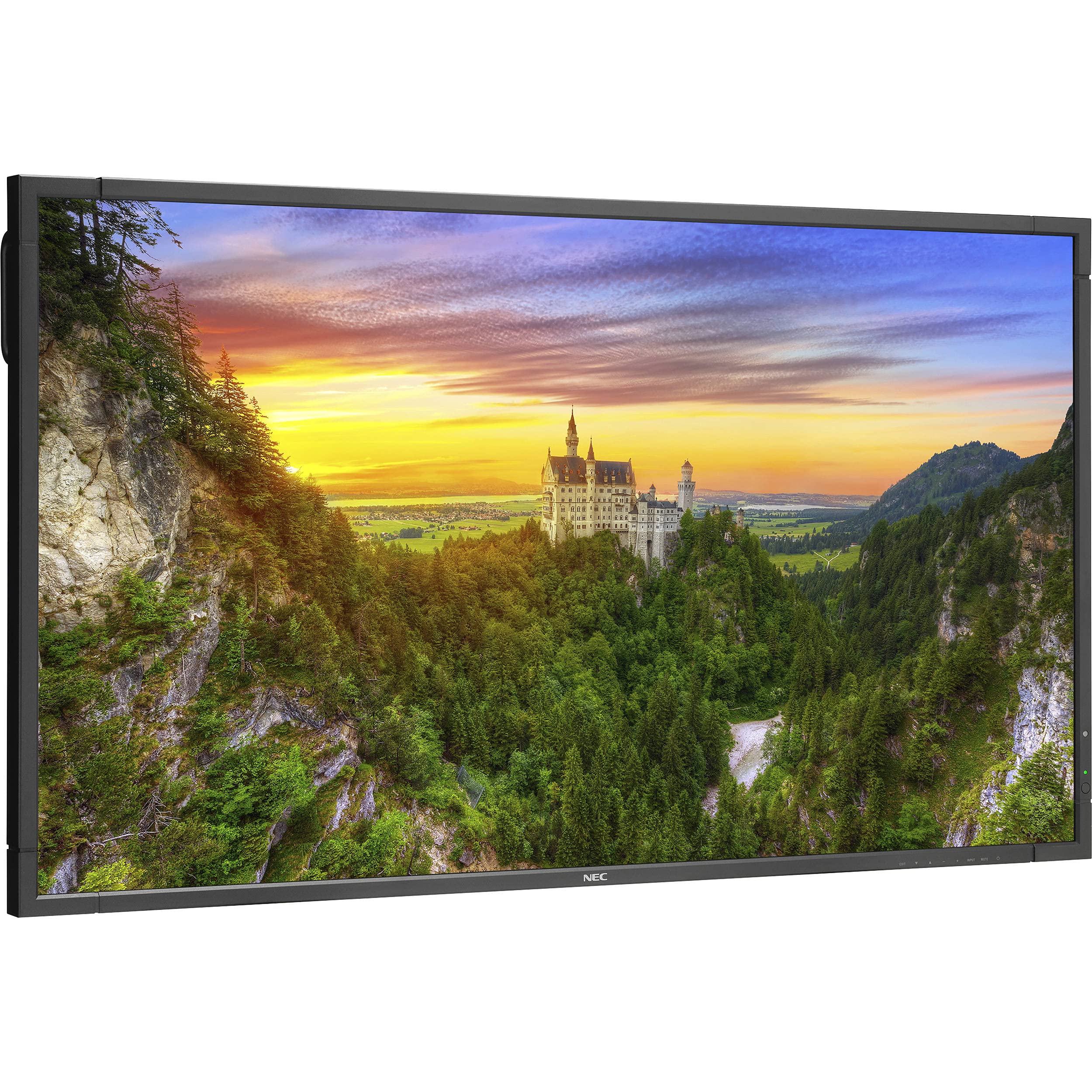 Amazon.com: NEC MultiSync X981UHD-2 98