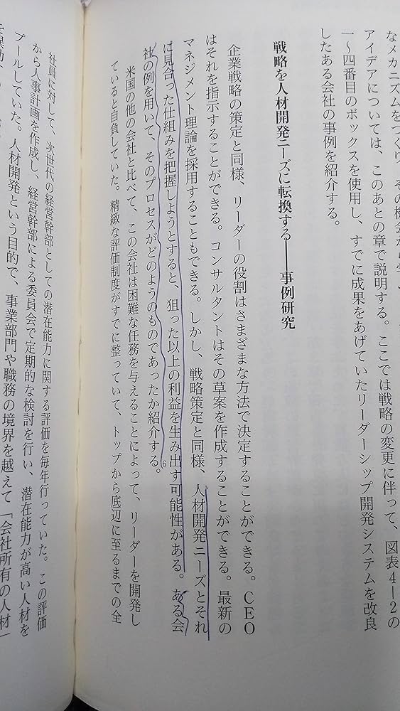 ハイ・フライヤー: 次世代リーダーの育成法 | マッコール,モーガン