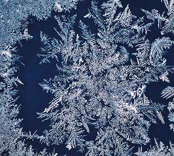 Amazon.co.jp: THA BLUE HERB: ミュージック