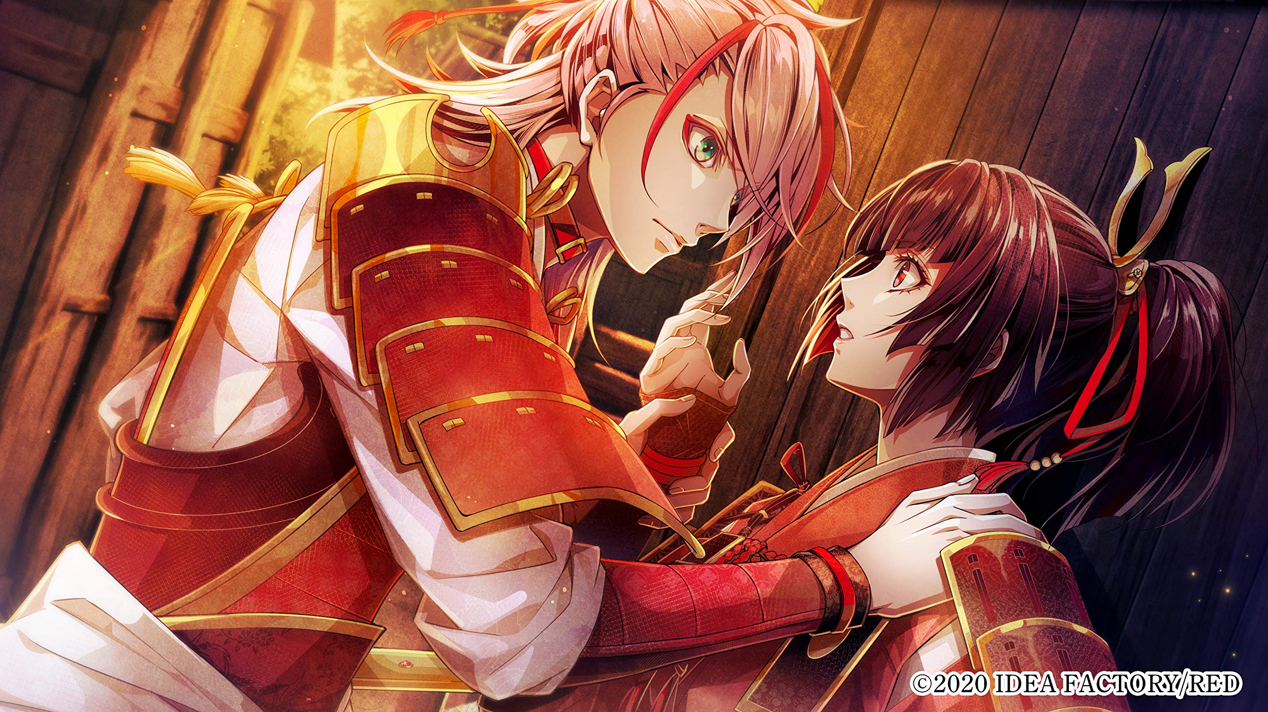 Amazon.co.jp: ビルシャナ戦姫 ~源平飛花夢想~ 限定版 : ゲーム