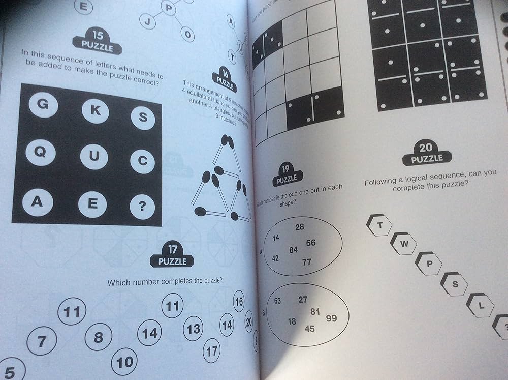 Iq Challenge: Cameron, Joe, Illustrated: 9781841930084: Amazon.com