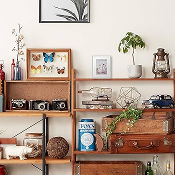 Amazon | FUJICOLOR アクリルコロンフレーム L レインボー 506413