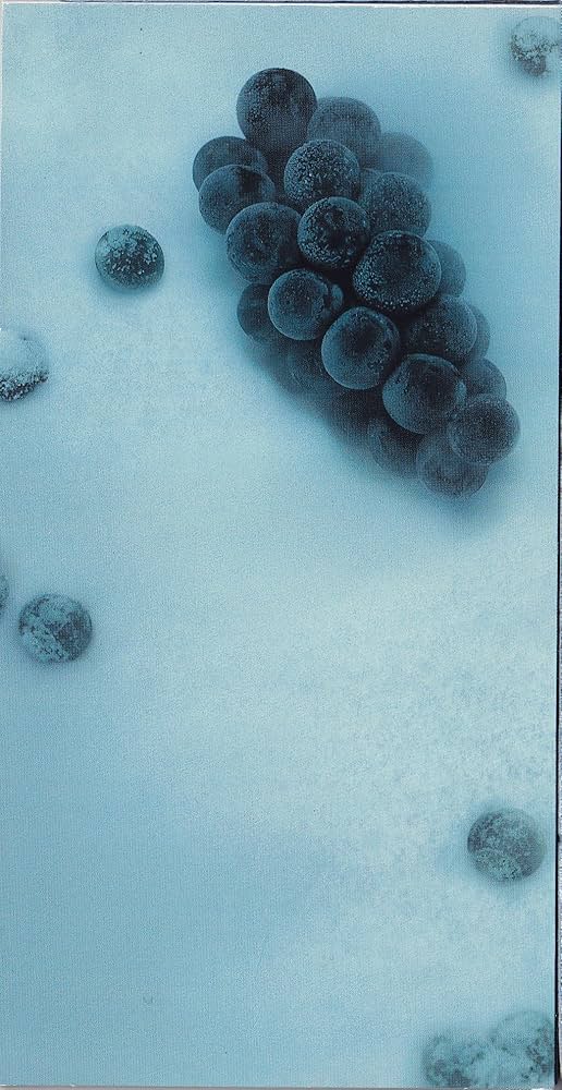 Amazon.co.jp: IN FOREST: ミュージック