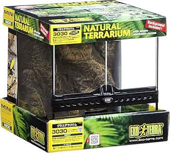 91SI4kyky6L._AC_UF350,