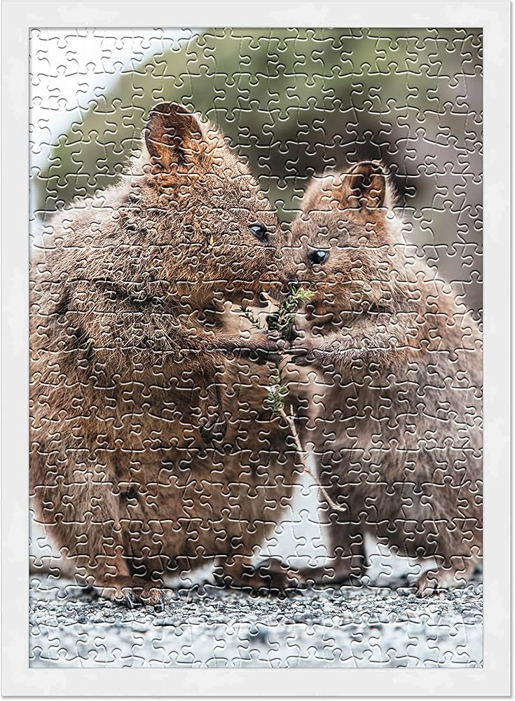 Amazon.co.jp: ポスター Palooza 16x20 ジグソーパズルフレームキット