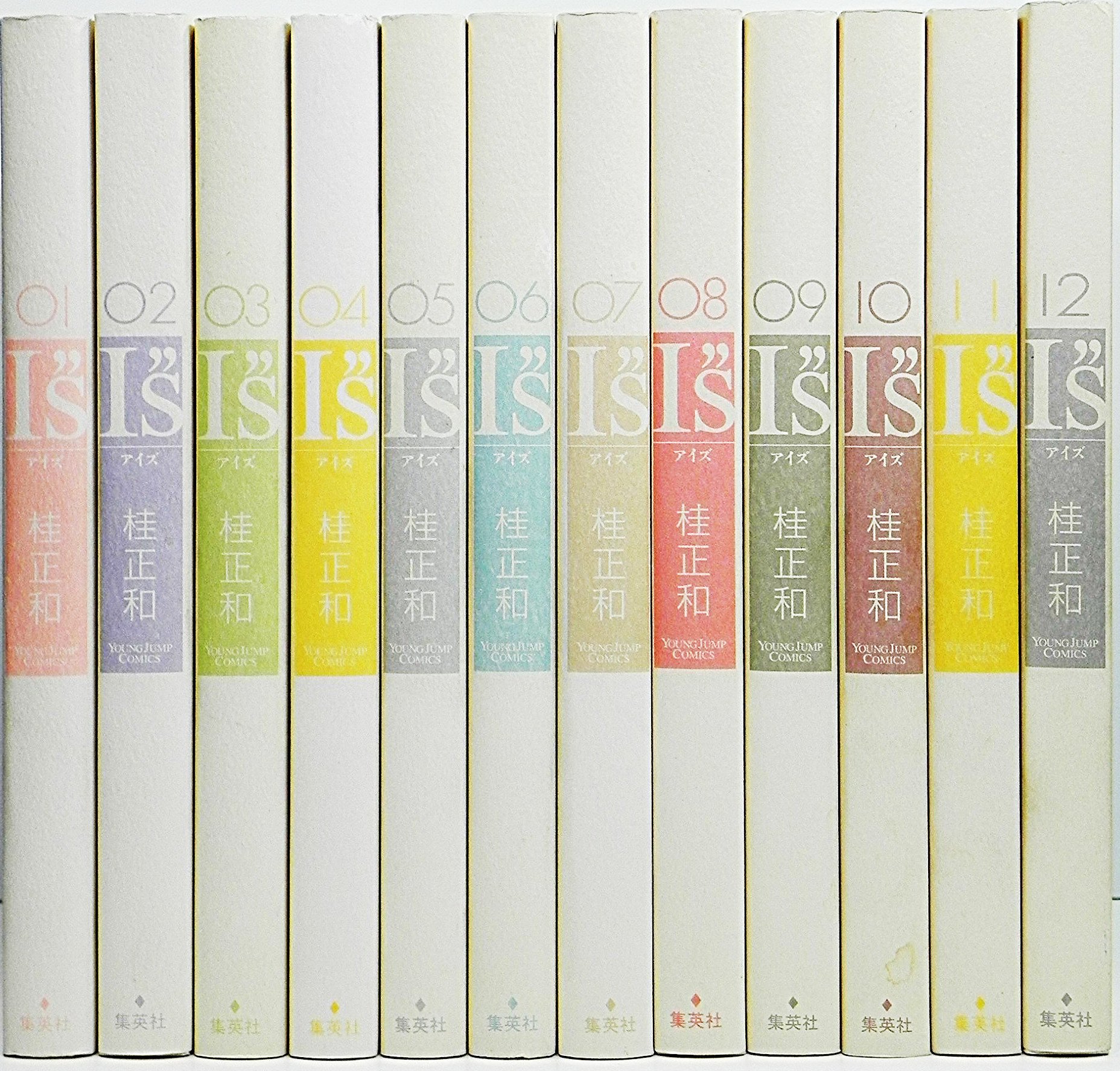 I”S コミック 全12巻完結セット (完全版) (ヤングジャンプコミックス
