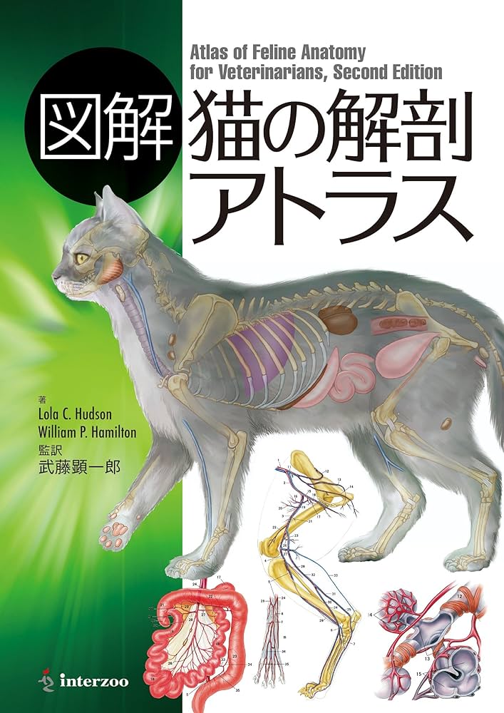 図解 猫の解剖アトラス | Lola Hudson, William Hamilton, 武藤顕一郎