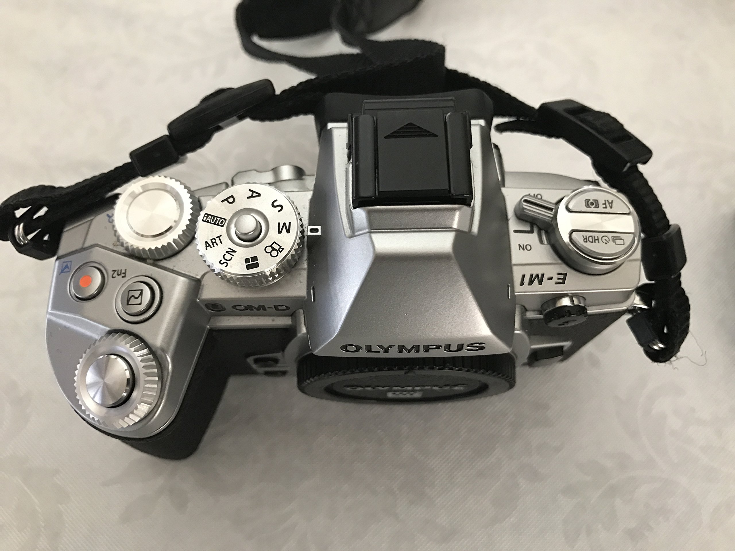 Amazon.com : OM SYSTEM Olympus OM-D E-M1 16MP Mirrorless Digital