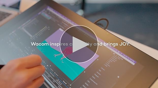 Amazon.com: Wacom Cintiq Pro 24 Creative Pen and Touch Display