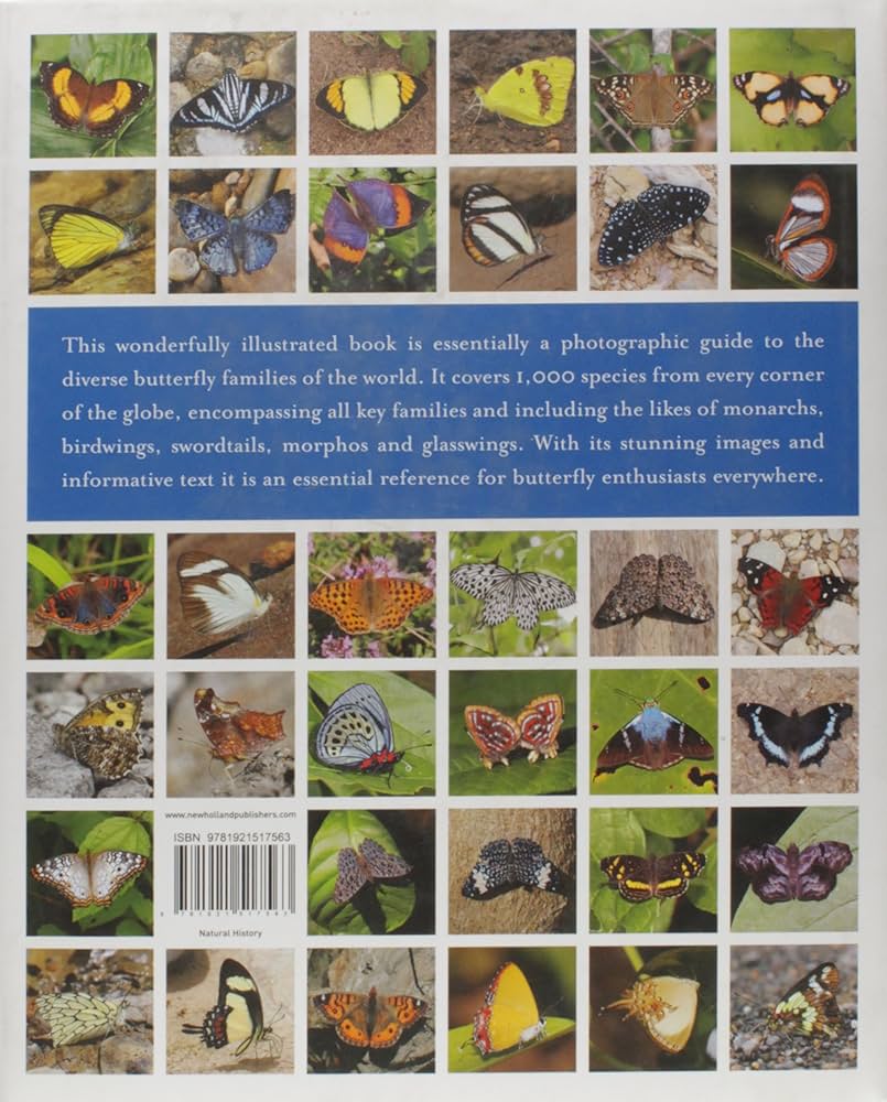 1000 Butterflies: An illustrated guide to the world's most