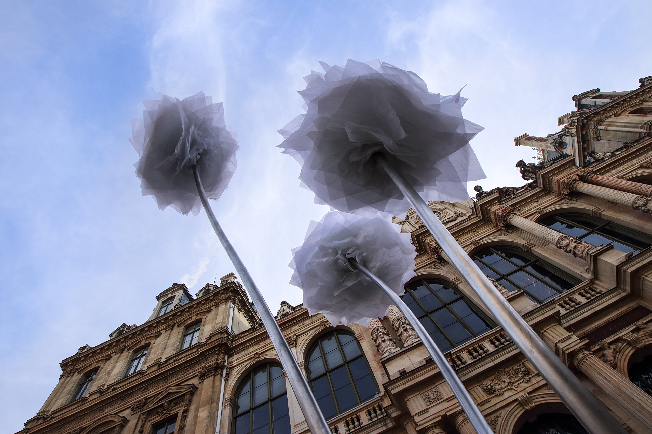 Amazon.co.jp: TAMRON 超広角ズームレンズ AF10-24mm F3.5-4.5 DiII VC