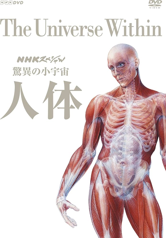 Amazon.co.jp: NHKスペシャル 驚異の小宇宙 人体 DVD BOX (新価格