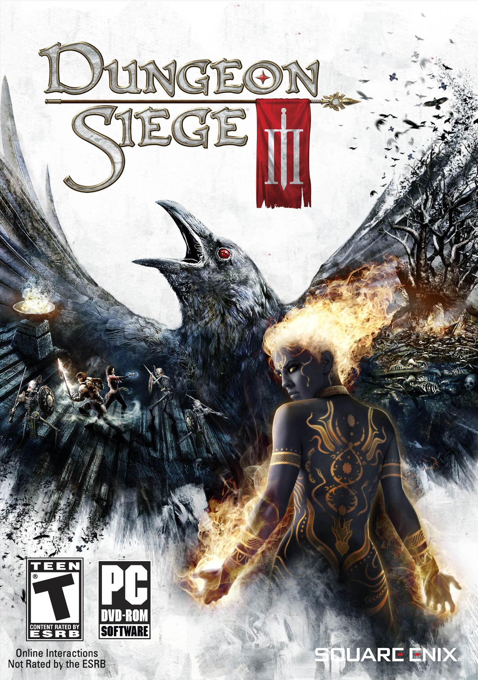 Amazon.com: Dungeon Siege III - PC : Everything Else