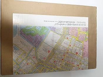 91jIPM9zdaL._AC_UF350,