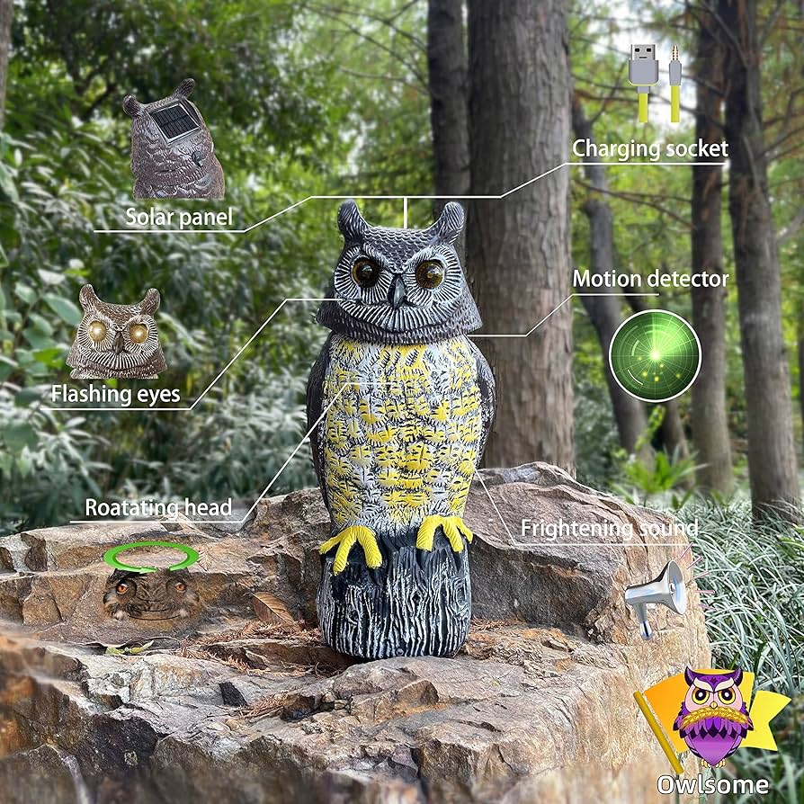 Amazon.com: Owlsome Solar Owl with Glowing Eyes, Rotating Head