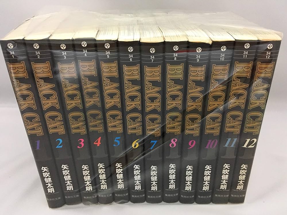 BLACK CAT 文庫版 コミック 全12巻完結セット (コミック版) | 矢吹