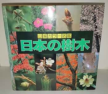 91rBT9KcNdL._AC_UF350,