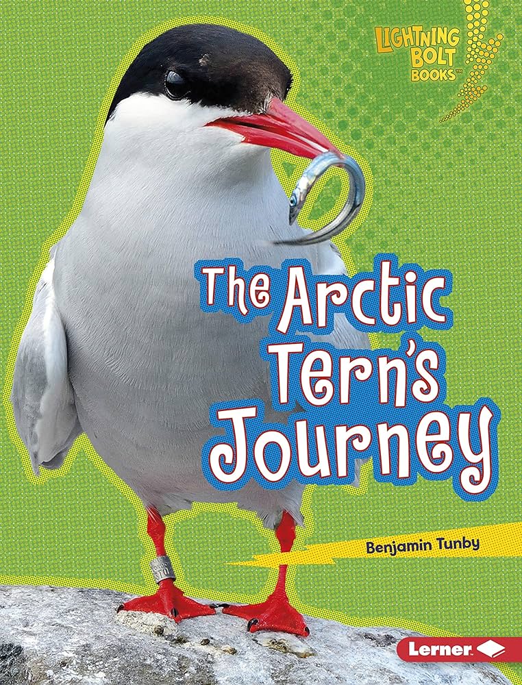 The Arctic Tern's Journey (Lightning Bolt Books ® ― Amazing