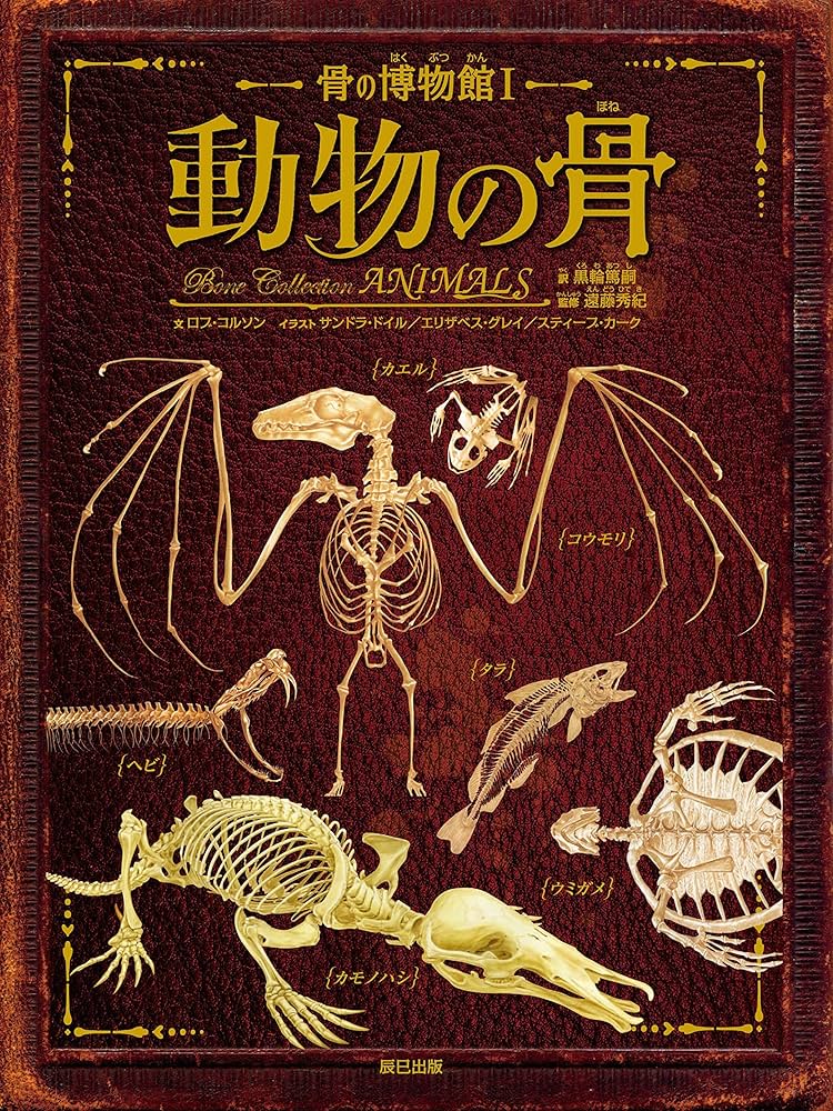 Amazon.co.jp: 骨の博物館1 動物の骨 : 遠藤 秀紀, 黒輪 篤嗣: 本