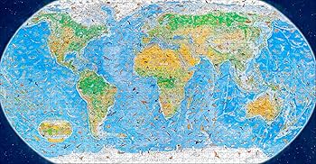 A1BEU+nEVCL._AC_UF350,