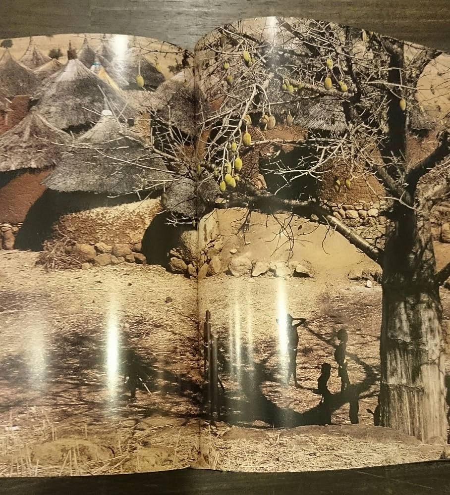 地球巡礼 | 野町 和嘉 |本 | 通販 | Amazon