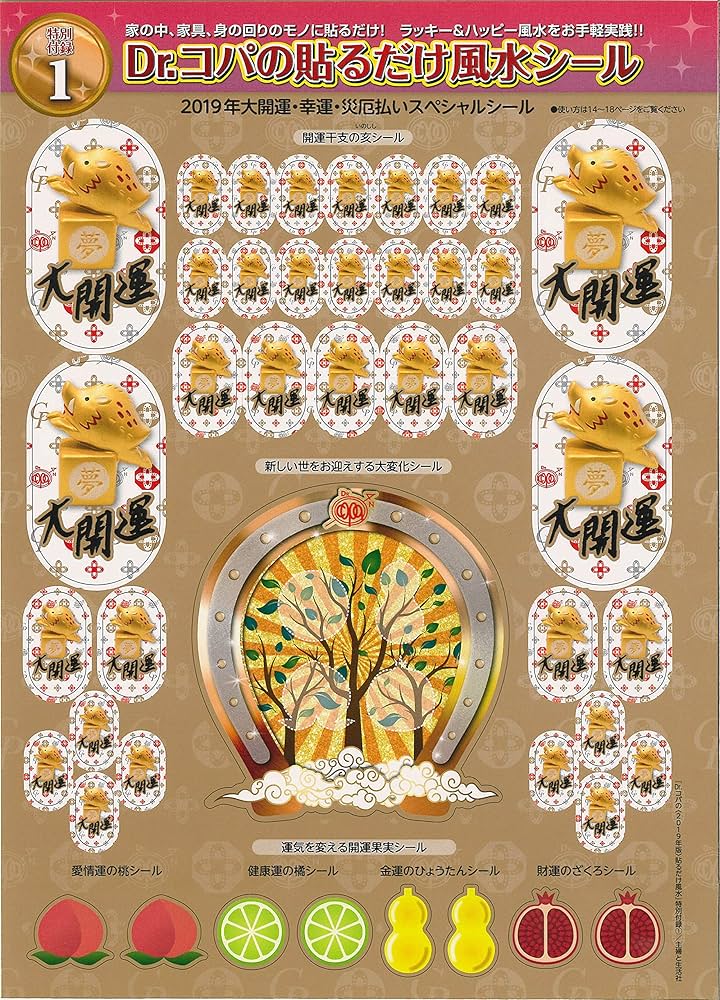 Amazon.co.jp: Dr.コパの貼るだけ風水 (生活シリーズ) : 小林 祥晃: 本