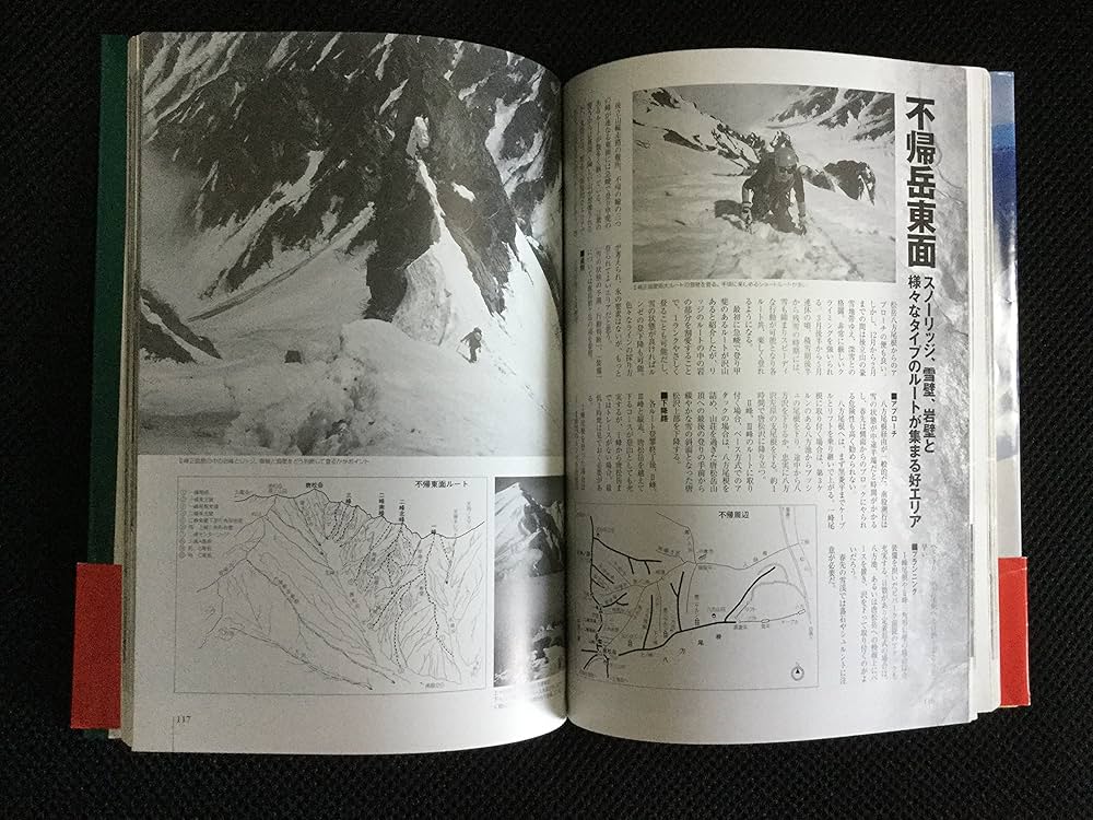 チャレンジ!アルパインクライミング 北アルプス編 | 廣川 健太郎 |本