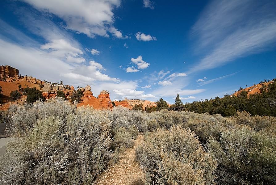 Amazon.com : Tamron AF 10-24mm f/3.5-4.5 SP Di II LD Aspherical