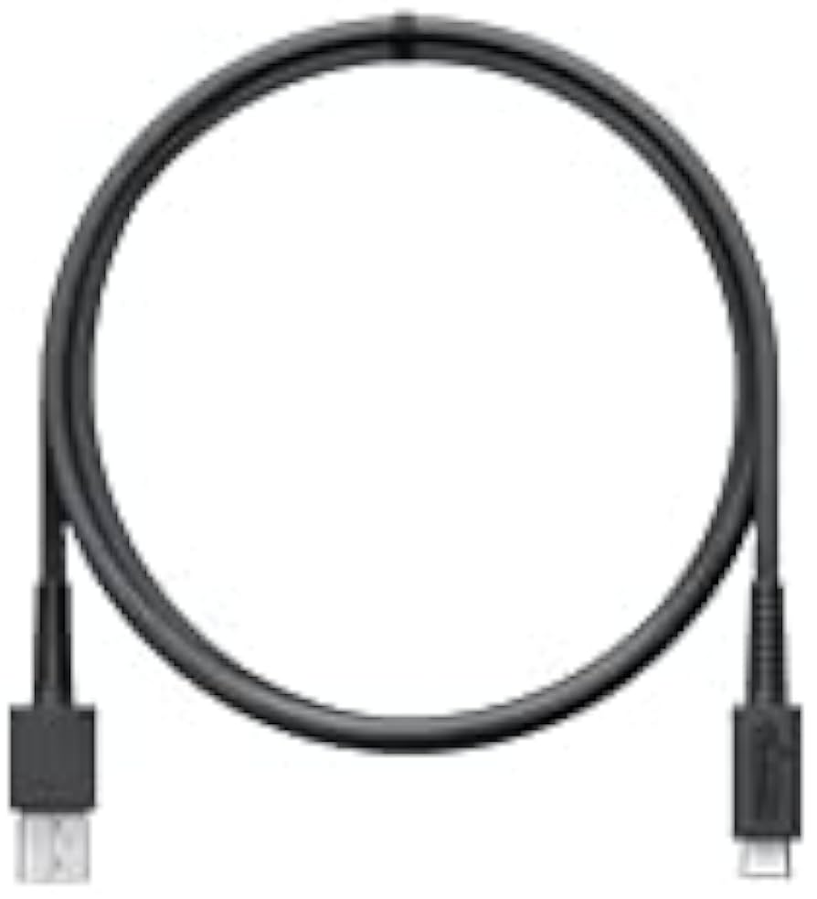 Amazon.co.jp: 任天堂純正 Nintendo Switch用 ニンテンドースイッチ