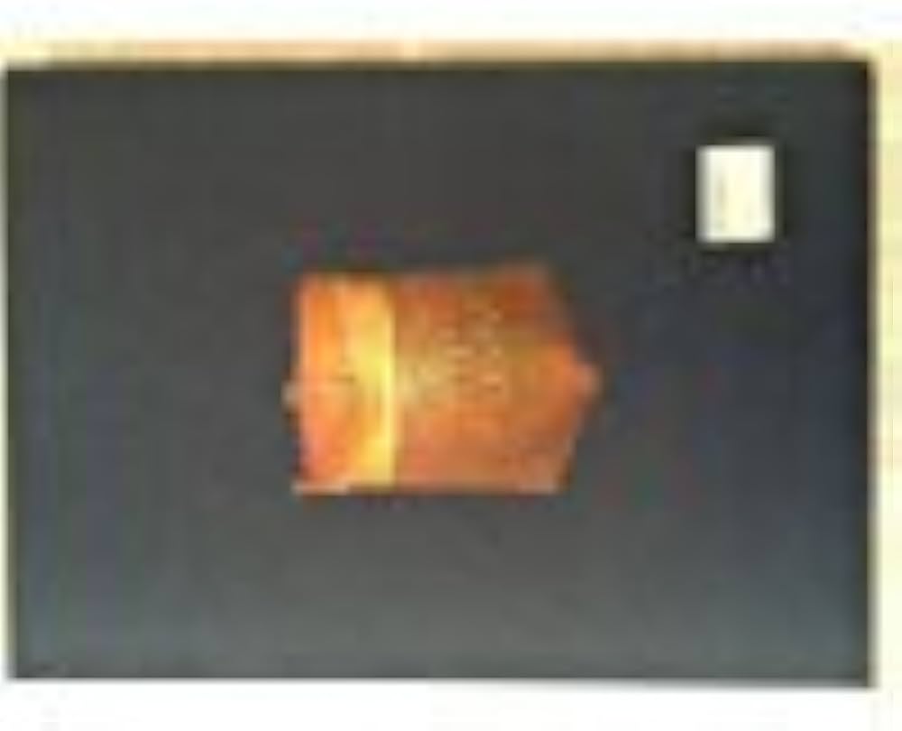 洋書 IBAN BASKETS by JEAN-FRANCOIS BLEHAUT IBAN BASKETS by JEAN