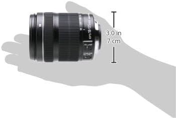 Canon EF-S 18-135mm f/3.5-5.6 is STM Lens : Amazon.ca: Electronics