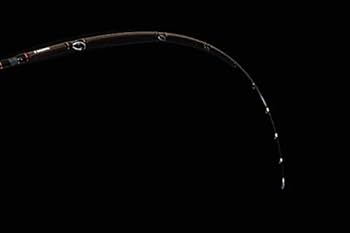 Amazon | JACKALL(ジャッカル) NAZZY CHOICE SG NAC-SG67ML. | JACKALL