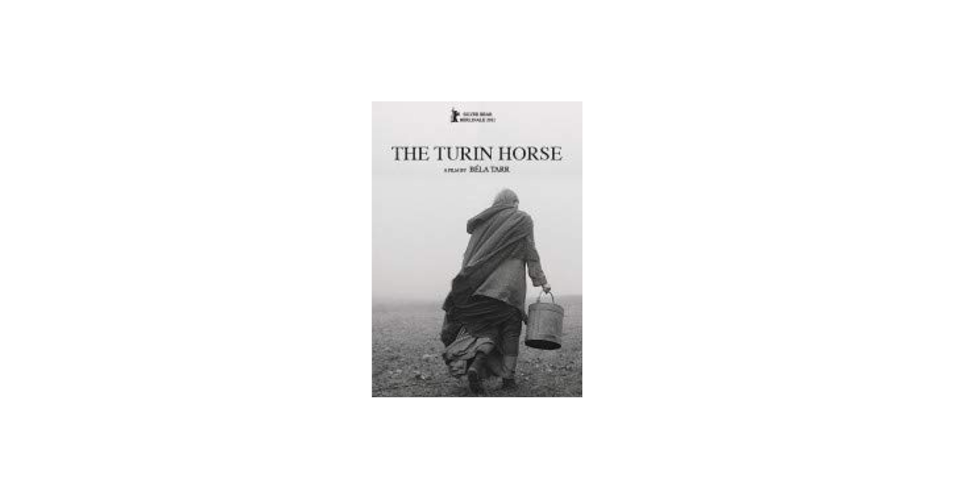 Amazon.com: The Turin Horse ( A torinói ló ) [ NON-USA FORMAT, PAL