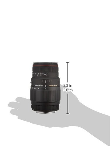 Amazon.com : Sigma 70-300mm f/4-5.6 DG APO Macro Telephoto Zoom