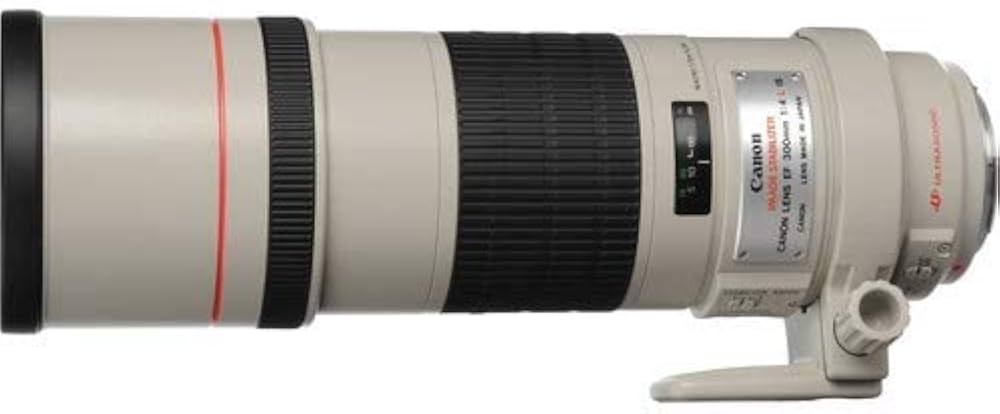 Canon EF 300mm f/4L is USM : Amazon.in: Electronics