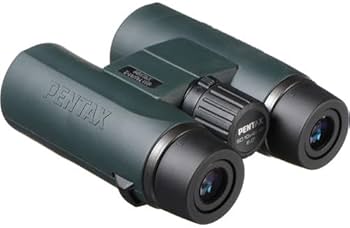 Amazon.co.jp: ペンタックス smc PENTAX-DA☆60-250mmF4ED[IF] SDM