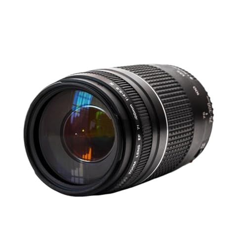 EF75-300mm」の人気商品一覧 | 安い商品を通販サイトから探す - 価格.com