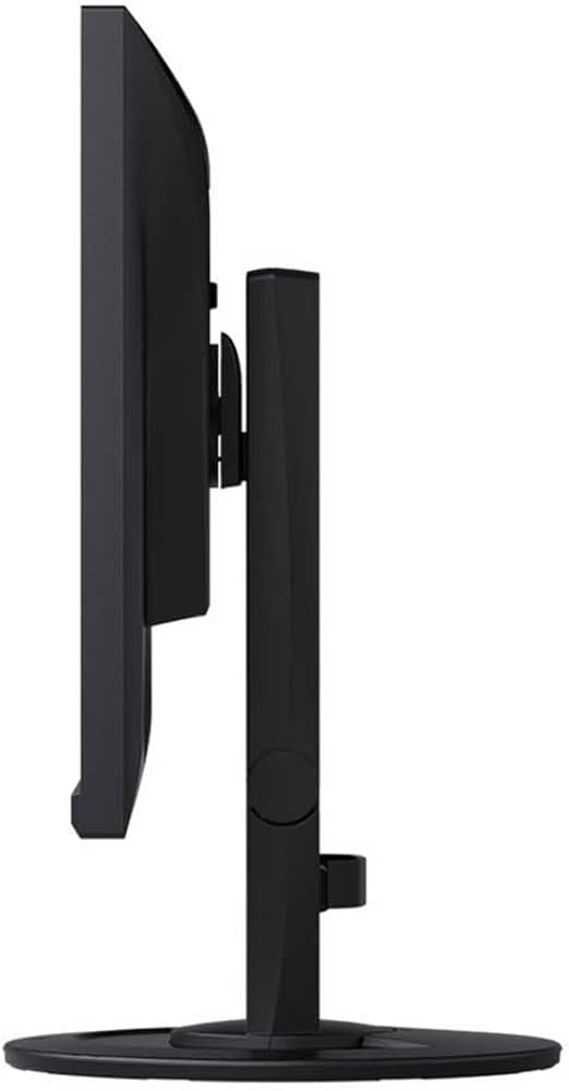 EIZO FlexScan EV2460-BK LED Display 60.5 cm (23.8