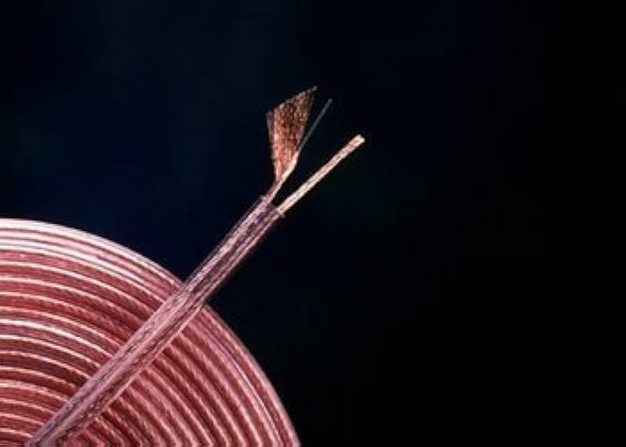 Amazon.co.jp: モンスターケーブル MONSTER CABLE() 切売りスピーカー