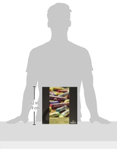 Amazon | ターレンス レンブラント ソフトパステル 120色セット