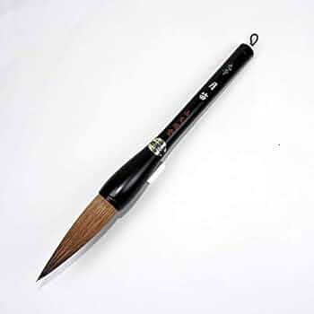 31FN0ntkpsL._AC_UF350,