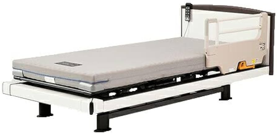 Amazon.co.jp: パラマウントベッド サイドグリップ KS-030A : ドラッグ