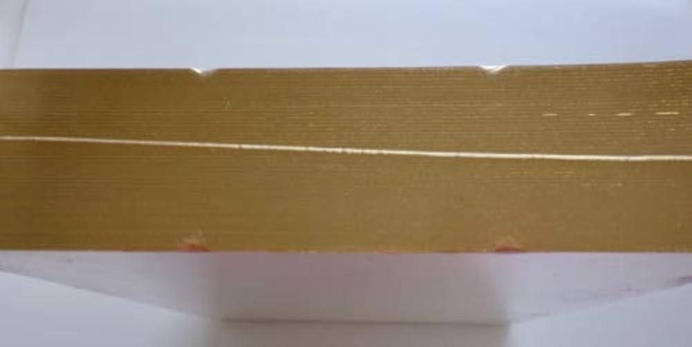 Visionaire No. 28 : The Bible: Tillmans, Wolfgang, Testino, Mario