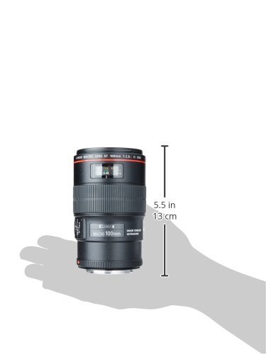 Amazon.com : Canon EF 100mm f/2.8L Is USM Macro Lens for Canon