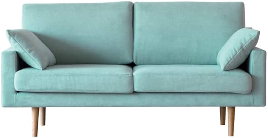 Amazon｜高野木工 LEO レオ ソファ 2.5人掛け ライトブルー 脚