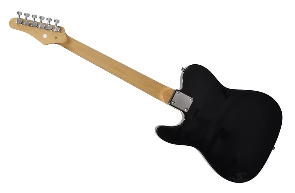 Amazon | PLAYTECH (プレイテック) エレキギター テレキャスタータイプ