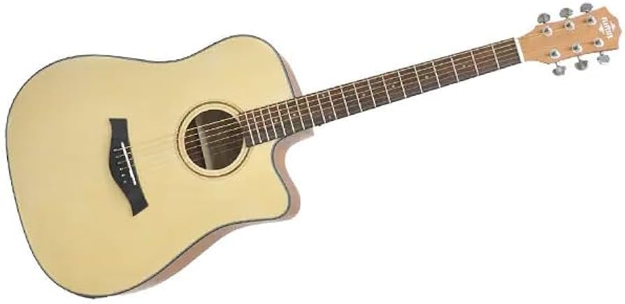 Amazon | PLAYTECH (プレイテック) エレクトリックアコースティック